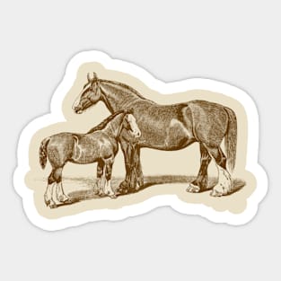 Mare and Foal. Brown Horse Illustration Sticker